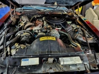 1981 Pontiac Firebird for sale in Michigan (ID-141334)