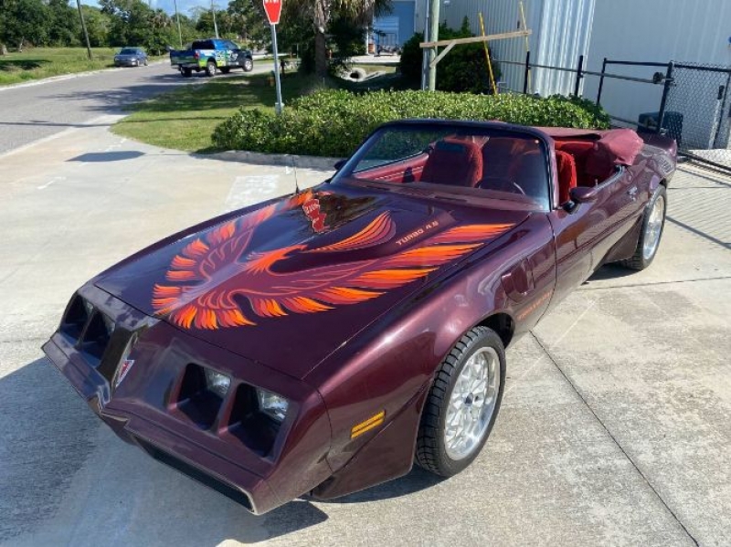 1981 Pontiac Trans Am for sale in Michigan (ID-101055)
