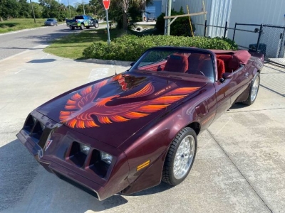 1981 Pontiac Trans Am for sale