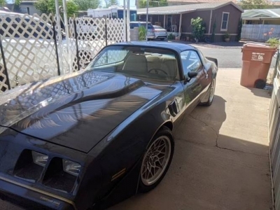 1981 Pontiac Trans Am for sale