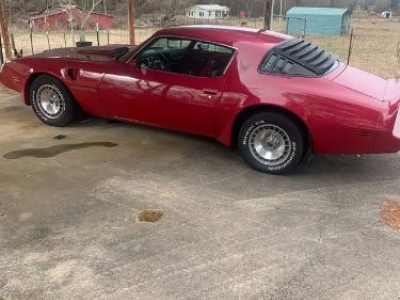 1981 Pontiac Trans Am for sale