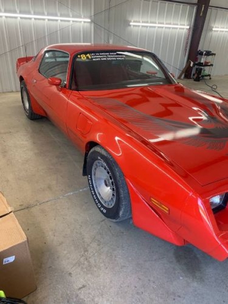 1981 Pontiac Trans Am for sale in Michigan (ID-115624) 1981 Pontiac Trans Am for sale in Michigan (ID-115624)