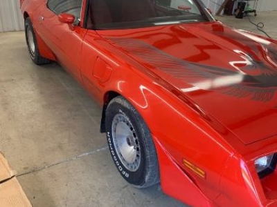 1981 Pontiac Trans Am for sale