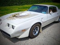 1981 Pontiac Trans Am for sale in Riverhead, New York (ID-128511)