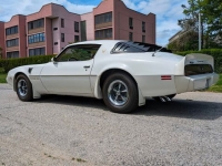 1981 Pontiac Trans Am for sale in Riverhead, New York (ID-128511)