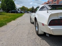 1981 Pontiac Trans Am for sale in Riverhead, New York (ID-128511)