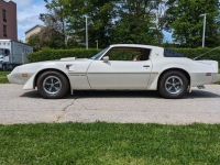1981 Pontiac Trans Am for sale in Riverhead, New York (ID-128511)