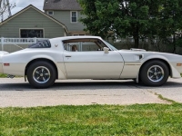 1981 Pontiac Trans Am for sale in Riverhead, New York (ID-128511)