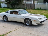 1981 Pontiac Trans Am for sale in Riverhead, New York (ID-128511)