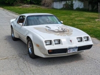 1981 Pontiac Trans Am for sale in Riverhead, New York (ID-128511)