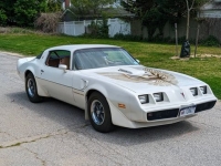 1981 Pontiac Trans Am for sale in Riverhead, New York (ID-128511)