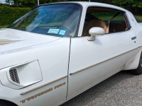1981 Pontiac Trans Am for sale in Riverhead, New York (ID-128511)
