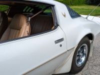 1981 Pontiac Trans Am for sale in Riverhead, New York (ID-128511)