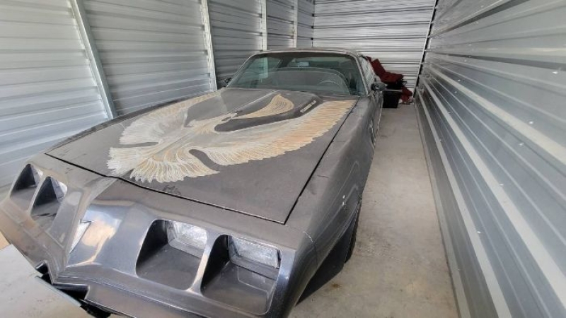 1981 Pontiac Trans Am for sale in Michigan (ID-130135) 1981 Pontiac Trans Am for sale in Michigan (ID-130135)