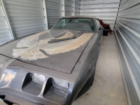 1981 Pontiac Trans Am for sale in Michigan (ID-130135)
