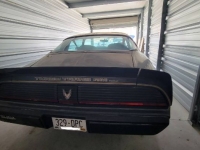 1981 Pontiac Trans Am for sale in Michigan (ID-130135)
