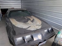 1981 Pontiac Trans Am for sale in Michigan (ID-130135)