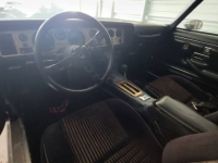 1981 Pontiac Trans Am for sale in Michigan (ID-130135)