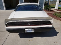 1981 Pontiac Trans Am for sale in Michigan (ID-130407)