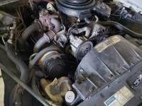 1981 Pontiac Trans Am for sale in Michigan (ID-130407)