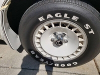 1981 Pontiac Trans Am for sale in Michigan (ID-130407)