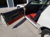 1981 Pontiac Trans Am for sale in Michigan (ID-130407)