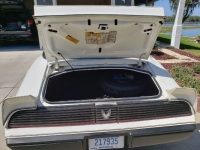 1981 Pontiac Trans Am for sale in Michigan (ID-130407)