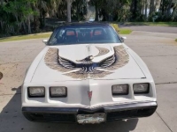 1981 Pontiac Trans Am for sale in Michigan (ID-130407)