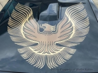 1981 Pontiac Trans Am for sale in Riverhead, New York (ID-134743)