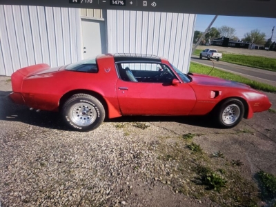 1981 Pontiac Trans Am for sale