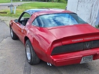 1981 Pontiac Trans Am for sale (ID-130379)