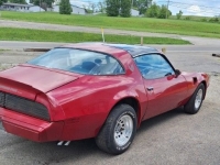 1981 Pontiac Trans Am for sale (ID-130379)