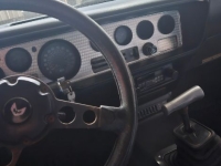 1981 Pontiac Trans Am for sale (ID-130379)