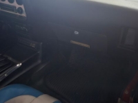 1981 Pontiac Trans Am for sale (ID-130379)