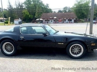 1981 Pontiac Trans Am for sale in Riverhead, New York (ID-142584)