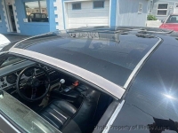 1981 Pontiac Trans Am for sale in Riverhead, New York (ID-142584)