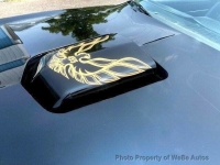 1981 Pontiac Trans Am for sale in Riverhead, New York (ID-142584)