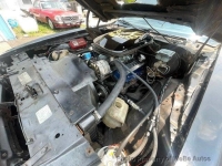 1981 Pontiac Trans Am for sale in Riverhead, New York (ID-142584)