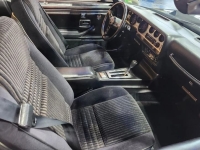 1981 Pontiac Trans Am for sale (ID-143442)