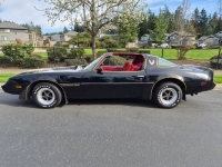 1981 Pontiac Trans Am for sale in Michigan (ID-162784)