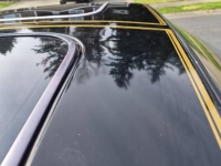 1981 Pontiac Trans Am for sale in Michigan (ID-162784)