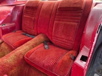 1981 Pontiac Trans Am for sale in Michigan (ID-162784)