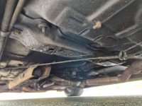 1981 Pontiac Trans Am for sale in Michigan (ID-162784)