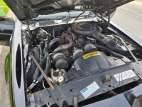 1981 Pontiac Trans Am for sale in Michigan (ID-162784)