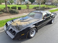 1981 Pontiac Trans Am for sale in Michigan (ID-162784)