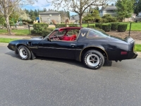 1981 Pontiac Trans Am for sale in Michigan (ID-162784)