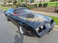 1981 Pontiac Trans Am for sale in Michigan (ID-162784)