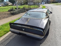1981 Pontiac Trans Am for sale in Michigan (ID-162784)