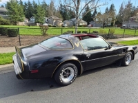 1981 Pontiac Trans Am for sale in Michigan (ID-162784)