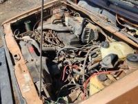 1981 Volkswagen Rabbit for sale in Michigan (ID-140979)